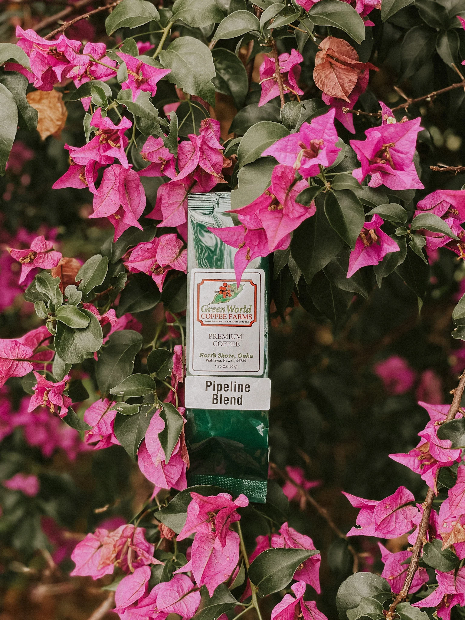 Sample Bags - Blends - Image 12