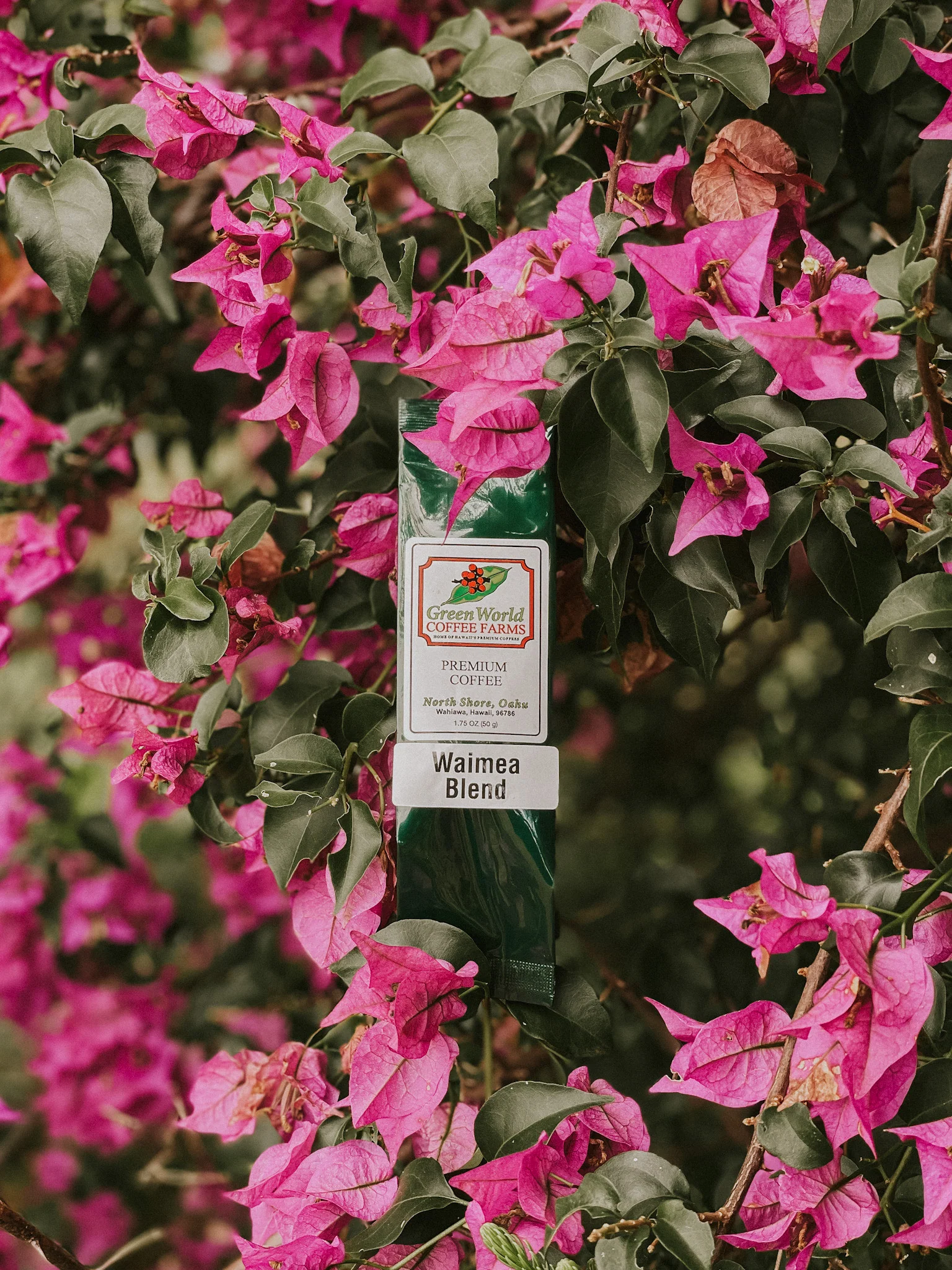 Sample Bags - Blends - Image 8
