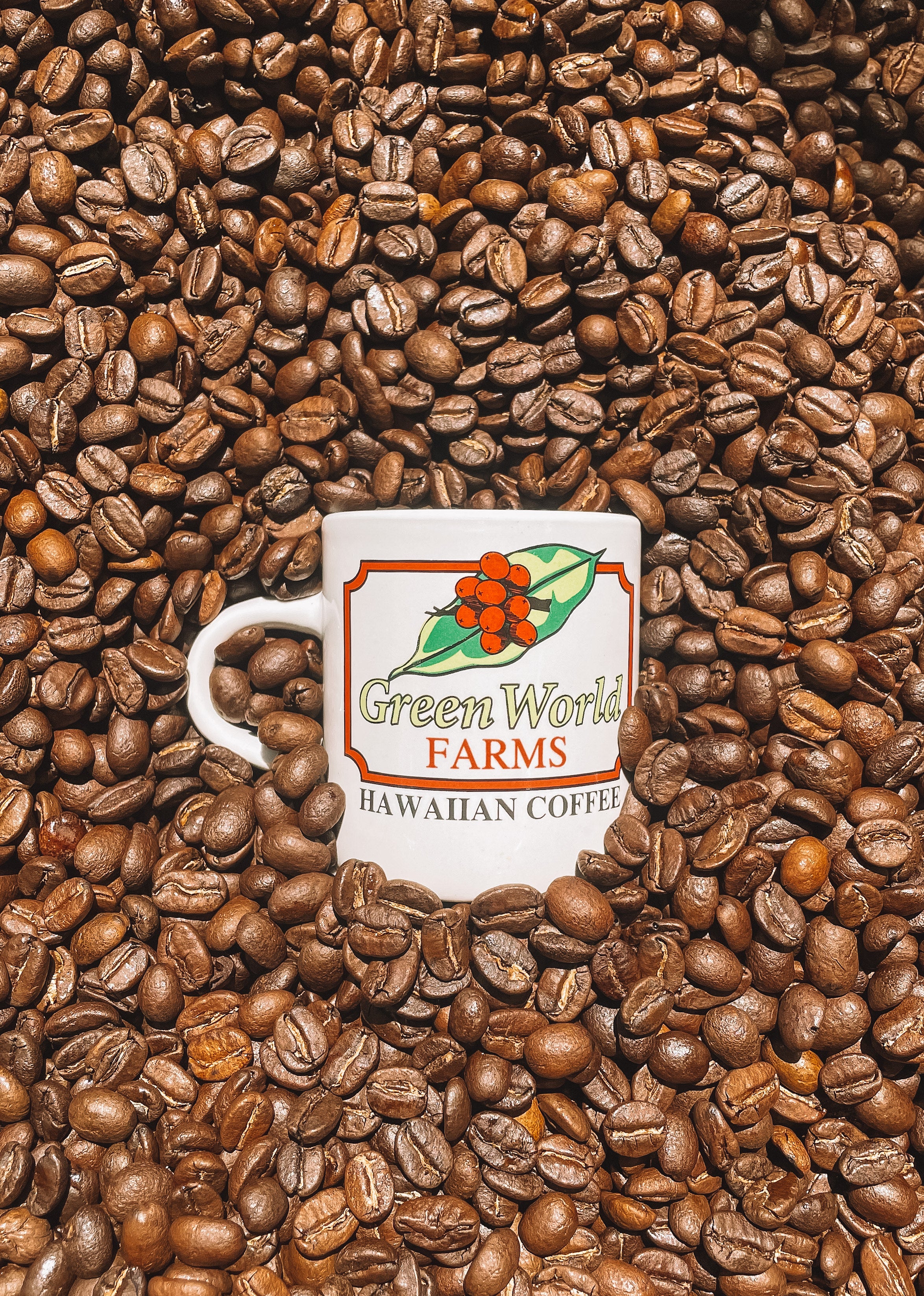 3 oz Espresso Mugs - Image 3