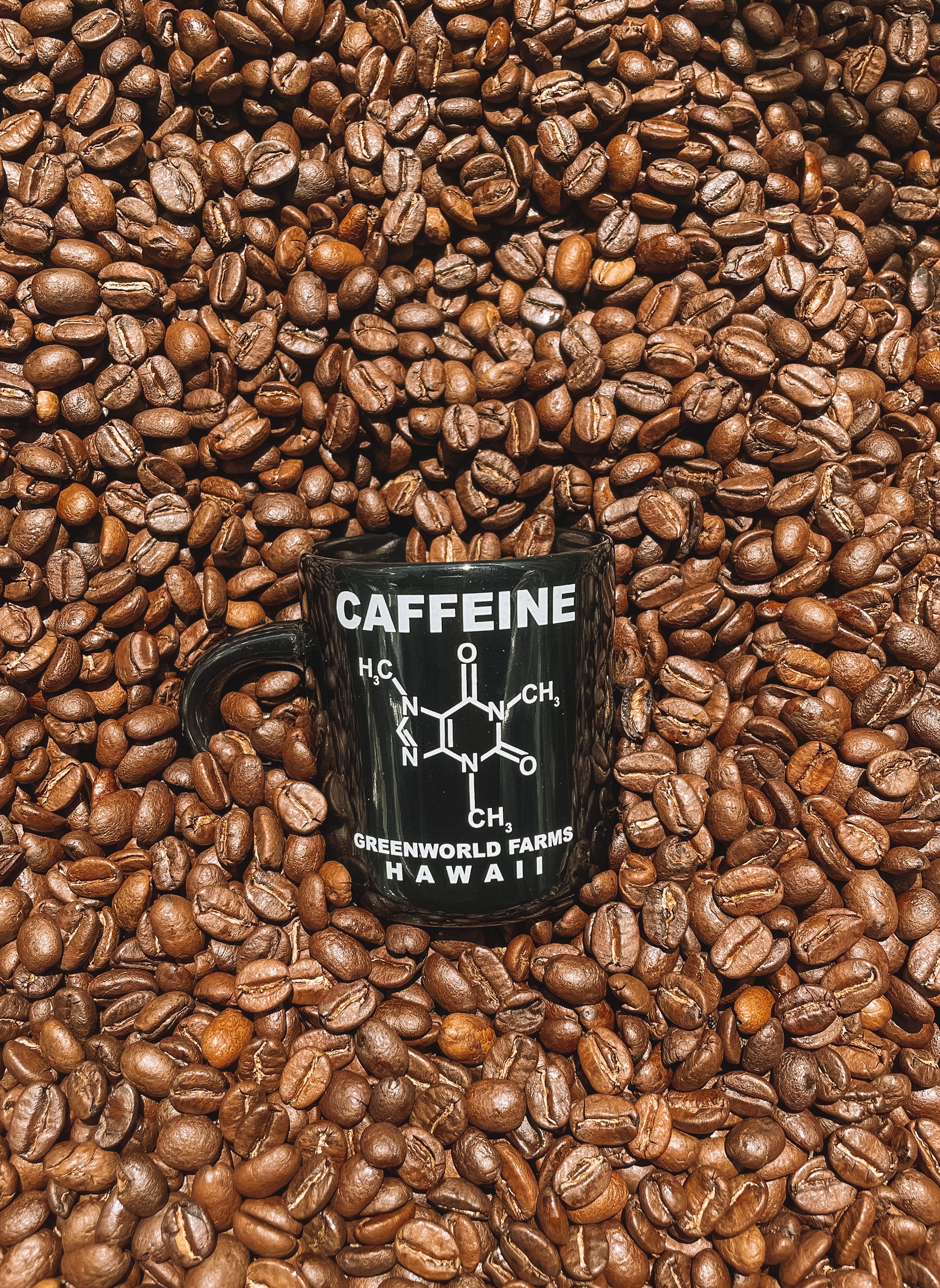 3 oz Espresso Mugs - Image 4