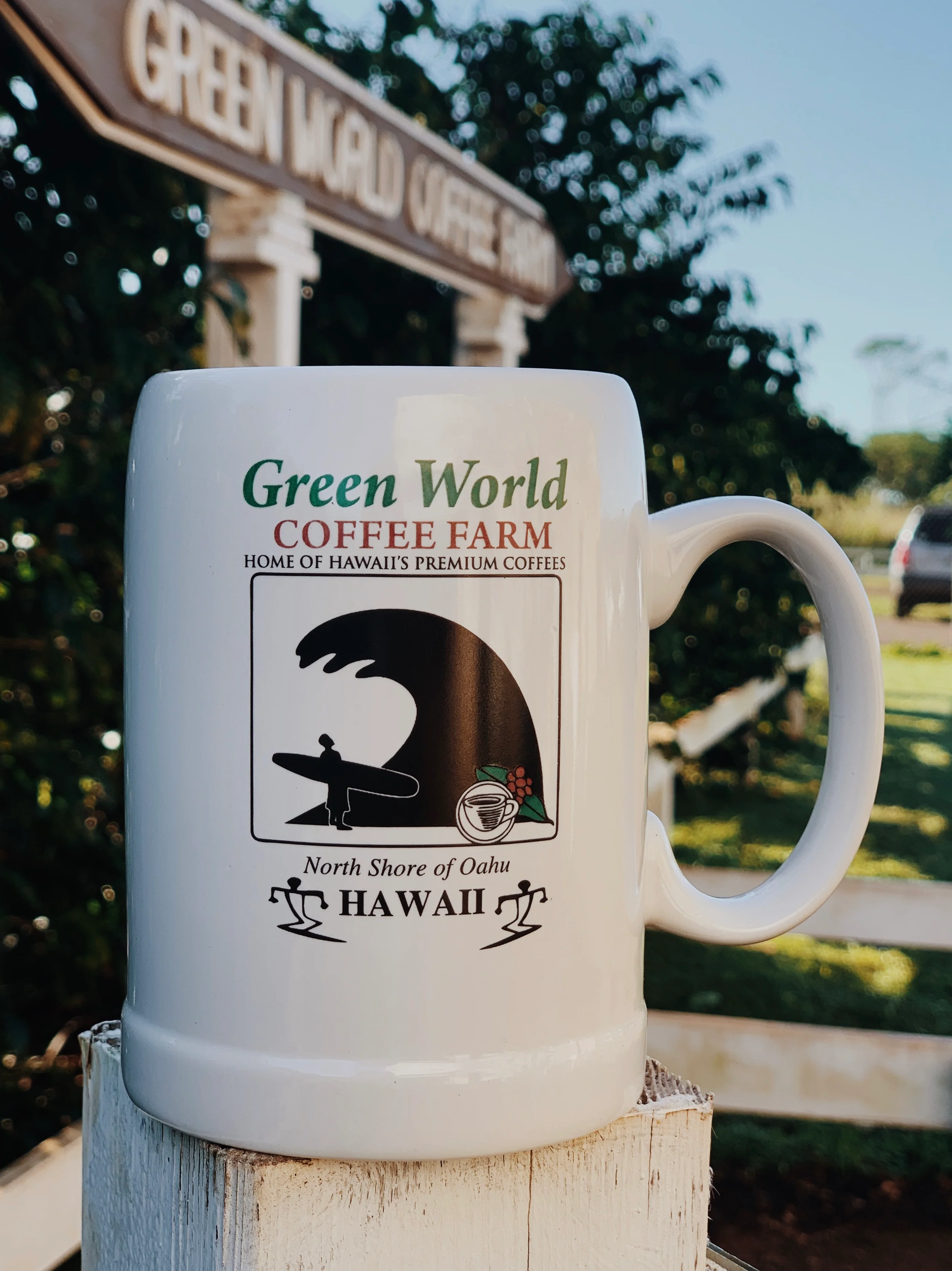 Stein Mugs - Image 3