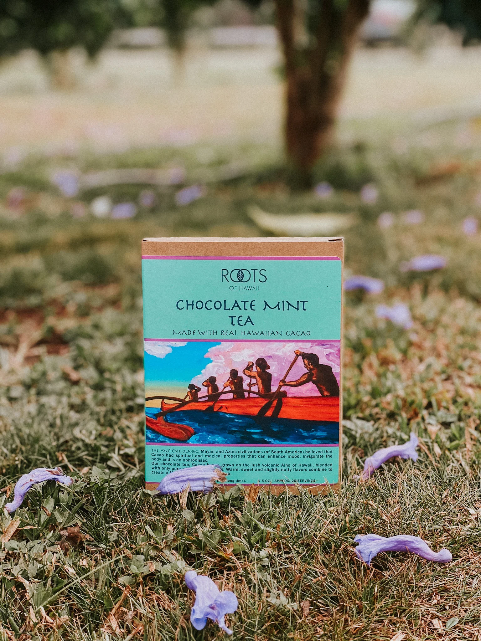 Chocolate Coconut & Chocolate Mint Tea - Image 3