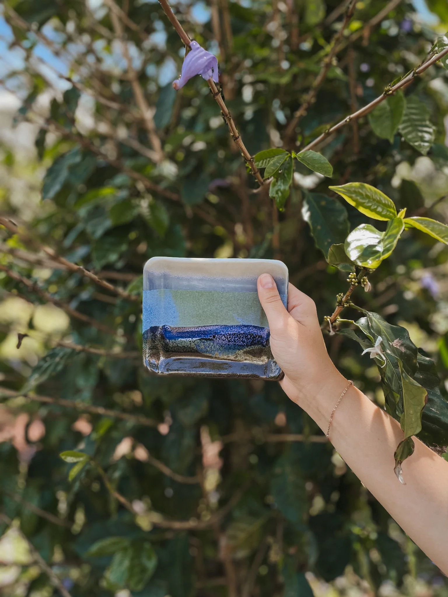 Seascape Collection - Image 5