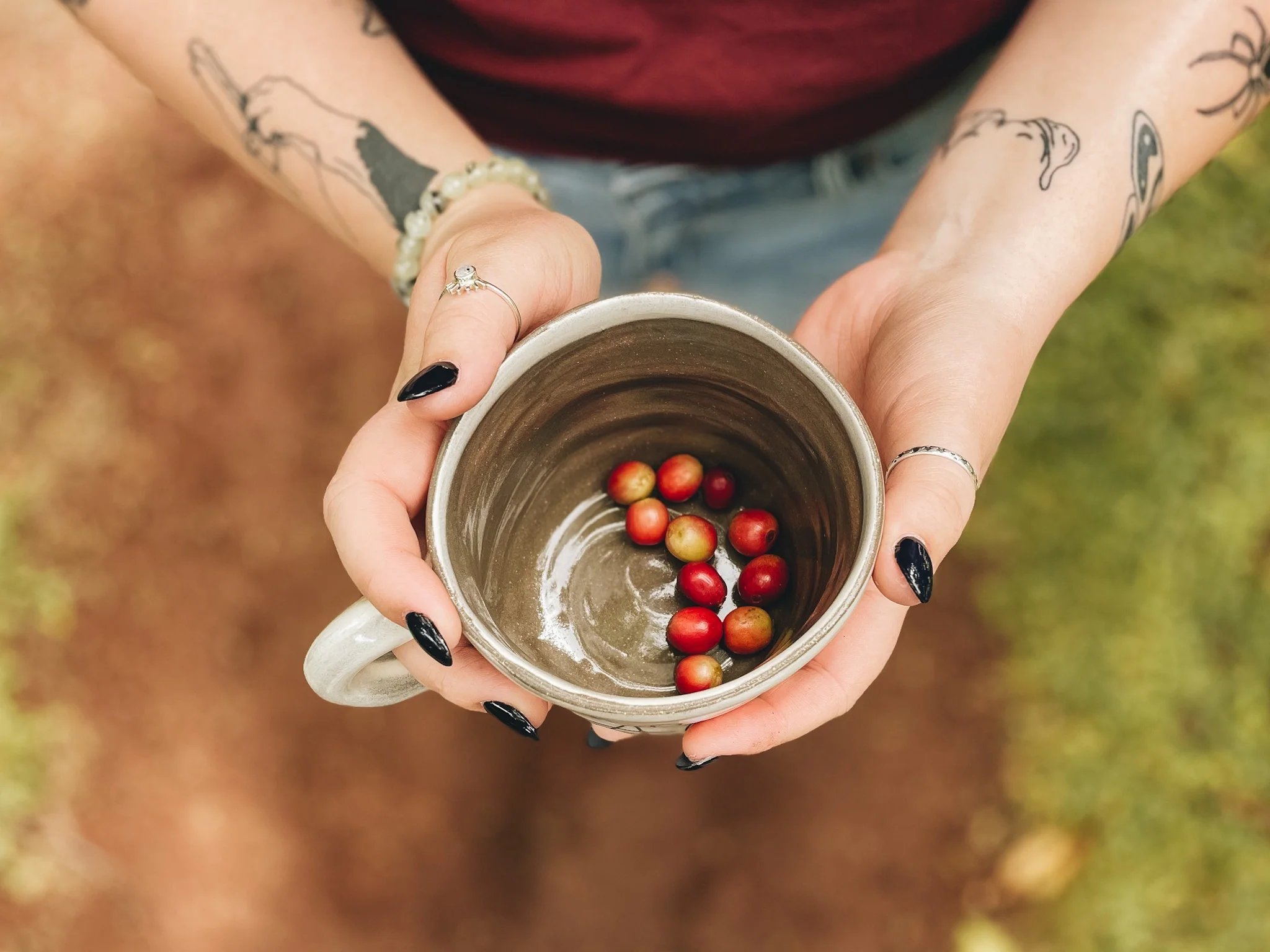 A Cup of Aloha - Image 6