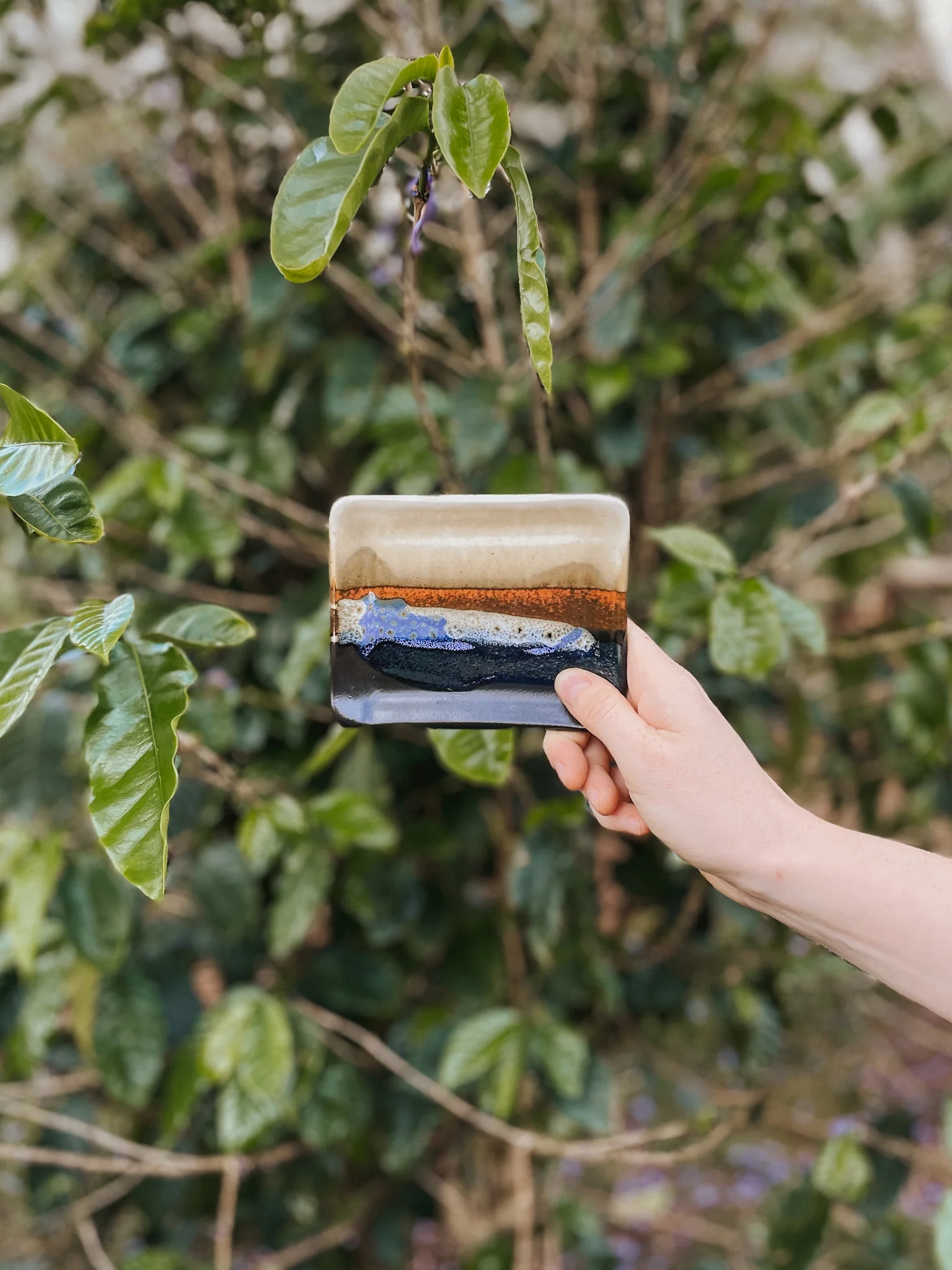Earth Collection - Image 5