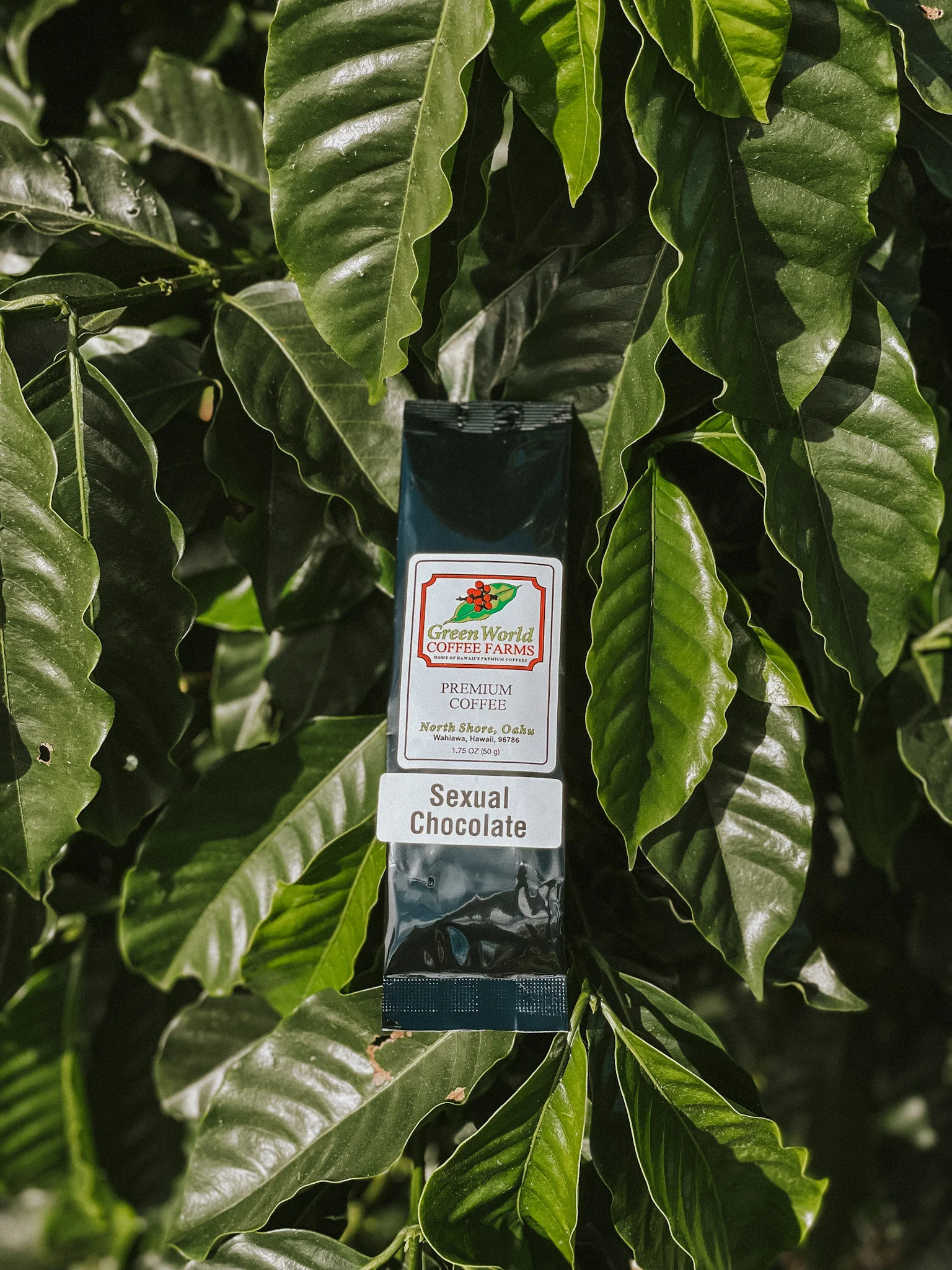 Sample Bags - Flavored - Image 10