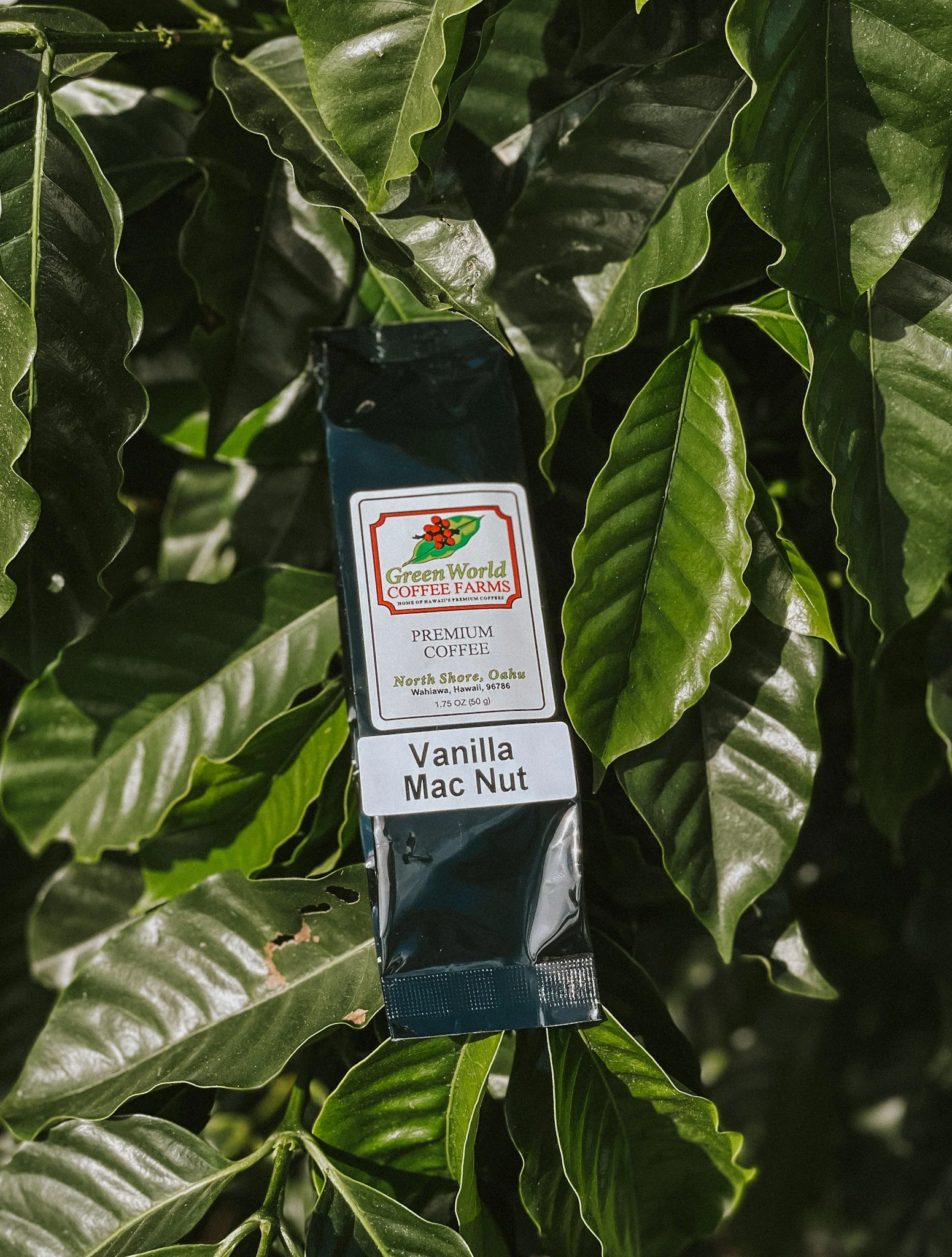Sample Bags - Flavored - Image 11