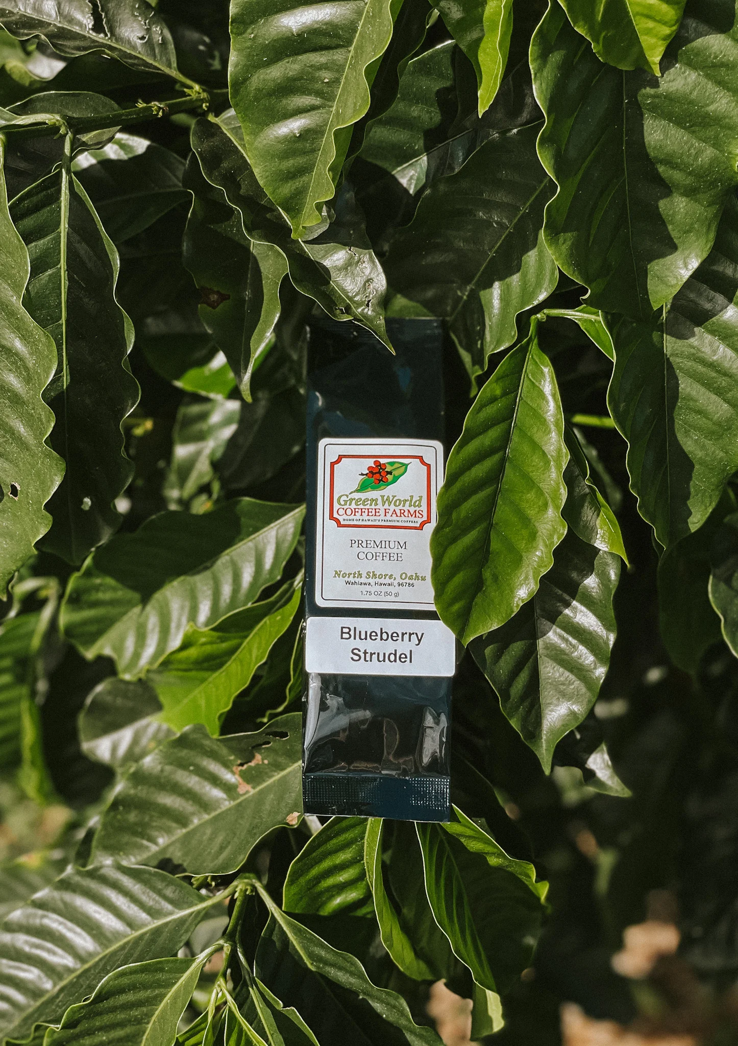 Sample Bags - Flavored - Image 12