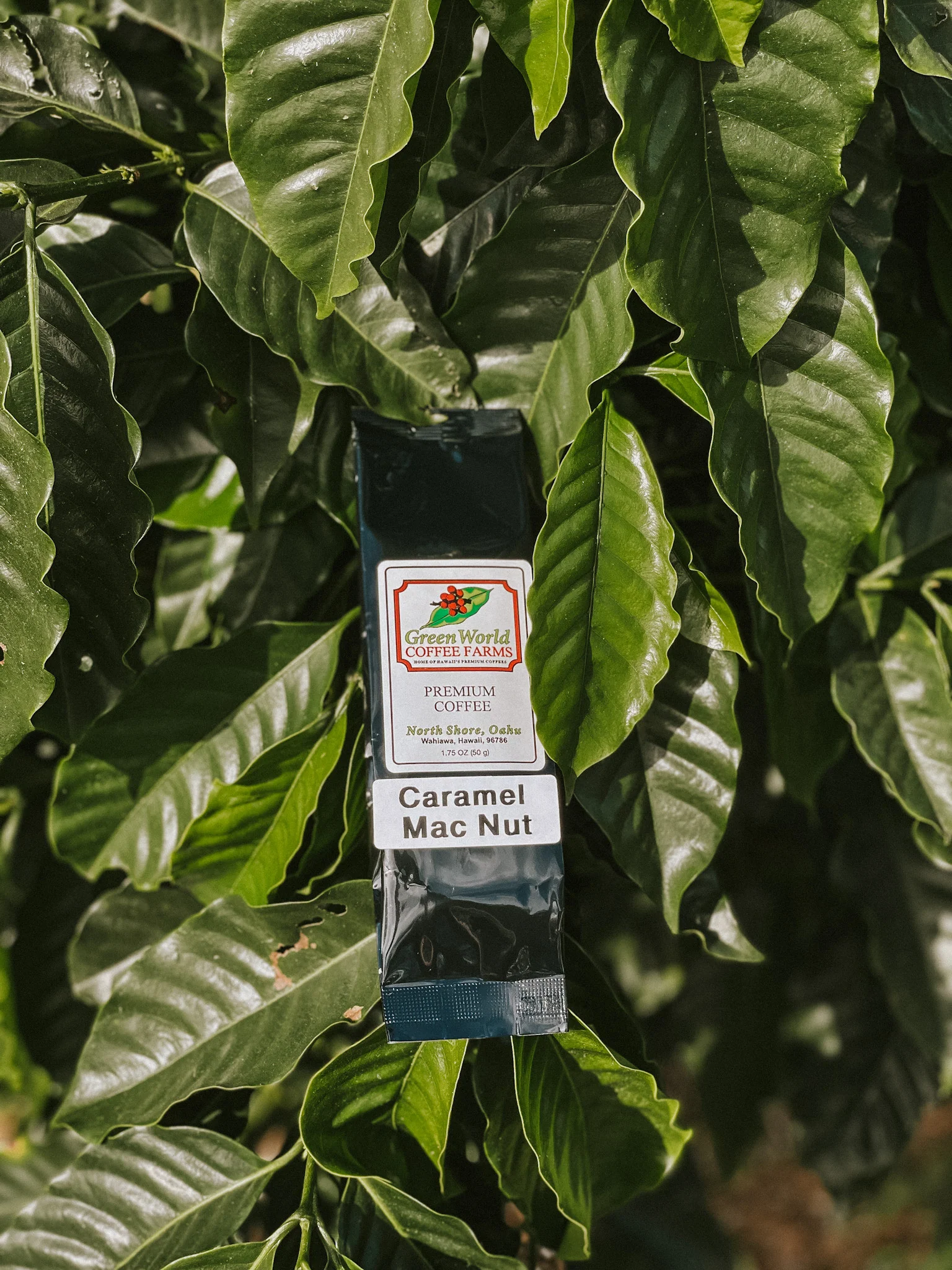 Sample Bags - Flavored - Image 4