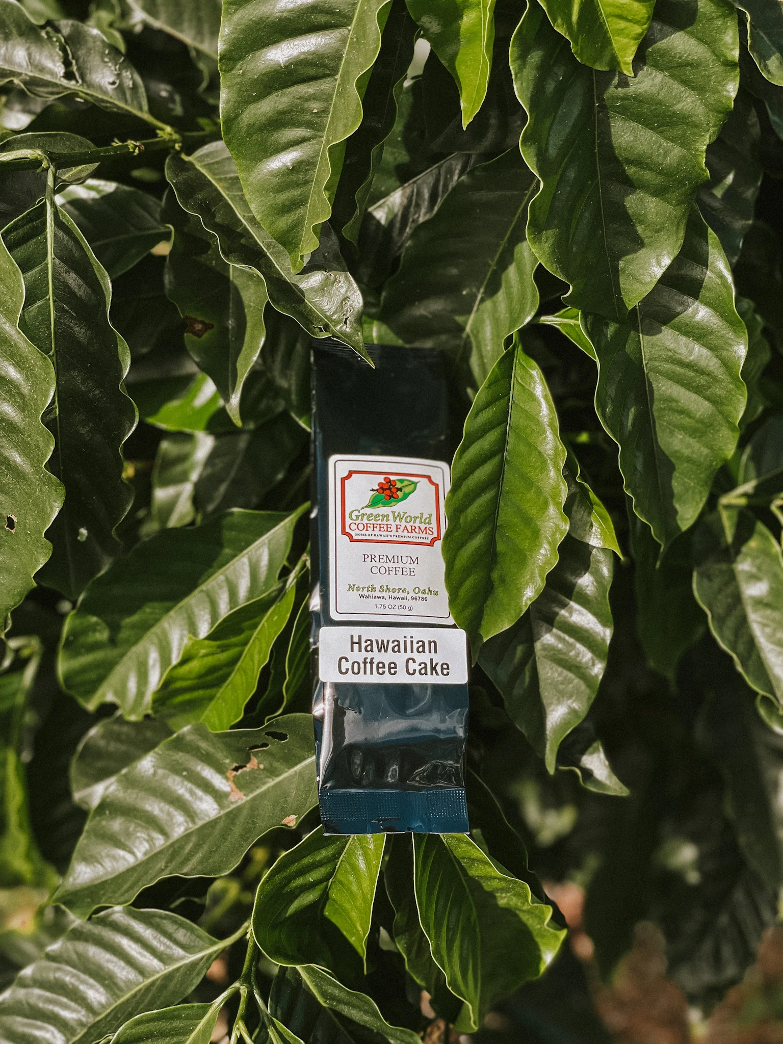 Sample Bags - Flavored - Image 6