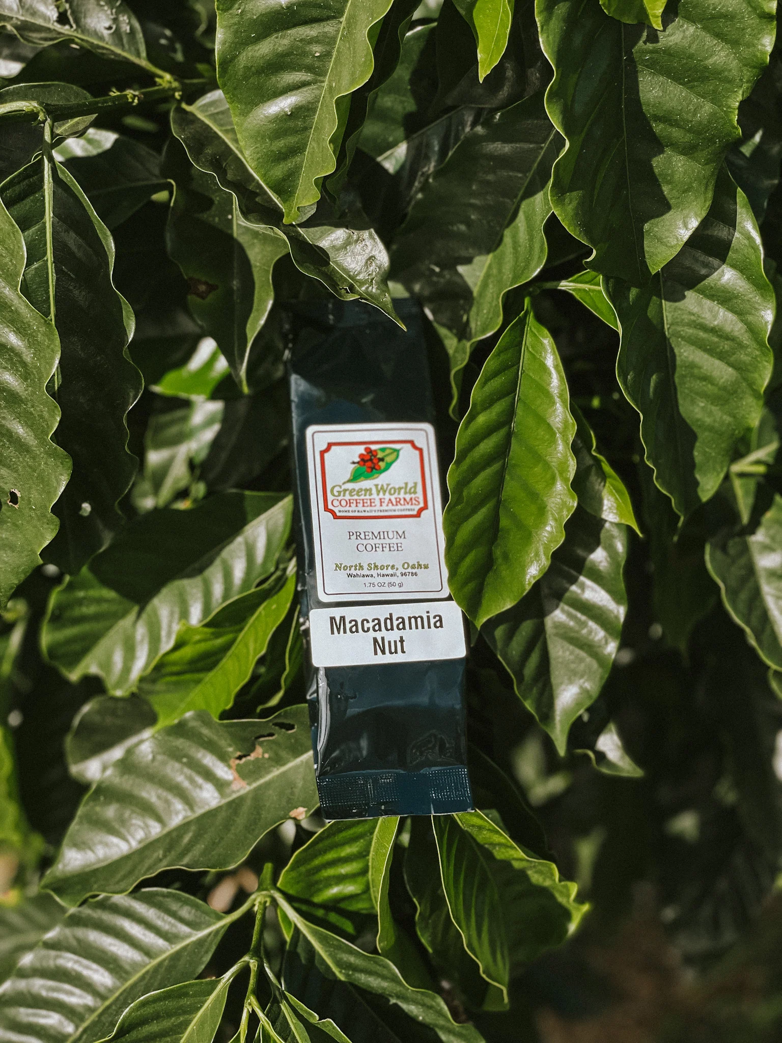Sample Bags - Flavored - Image 8