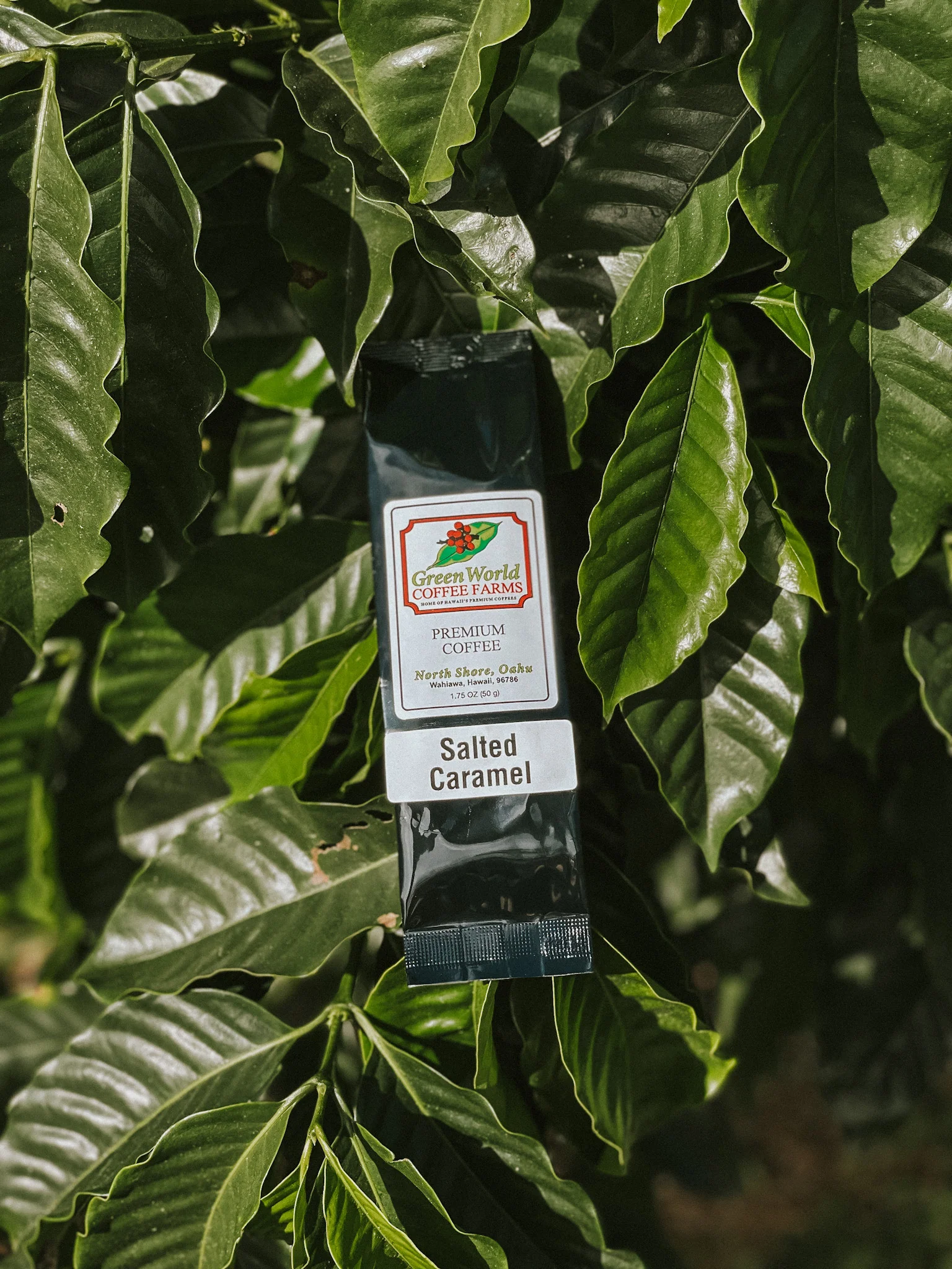 Sample Bags - Flavored - Image 9