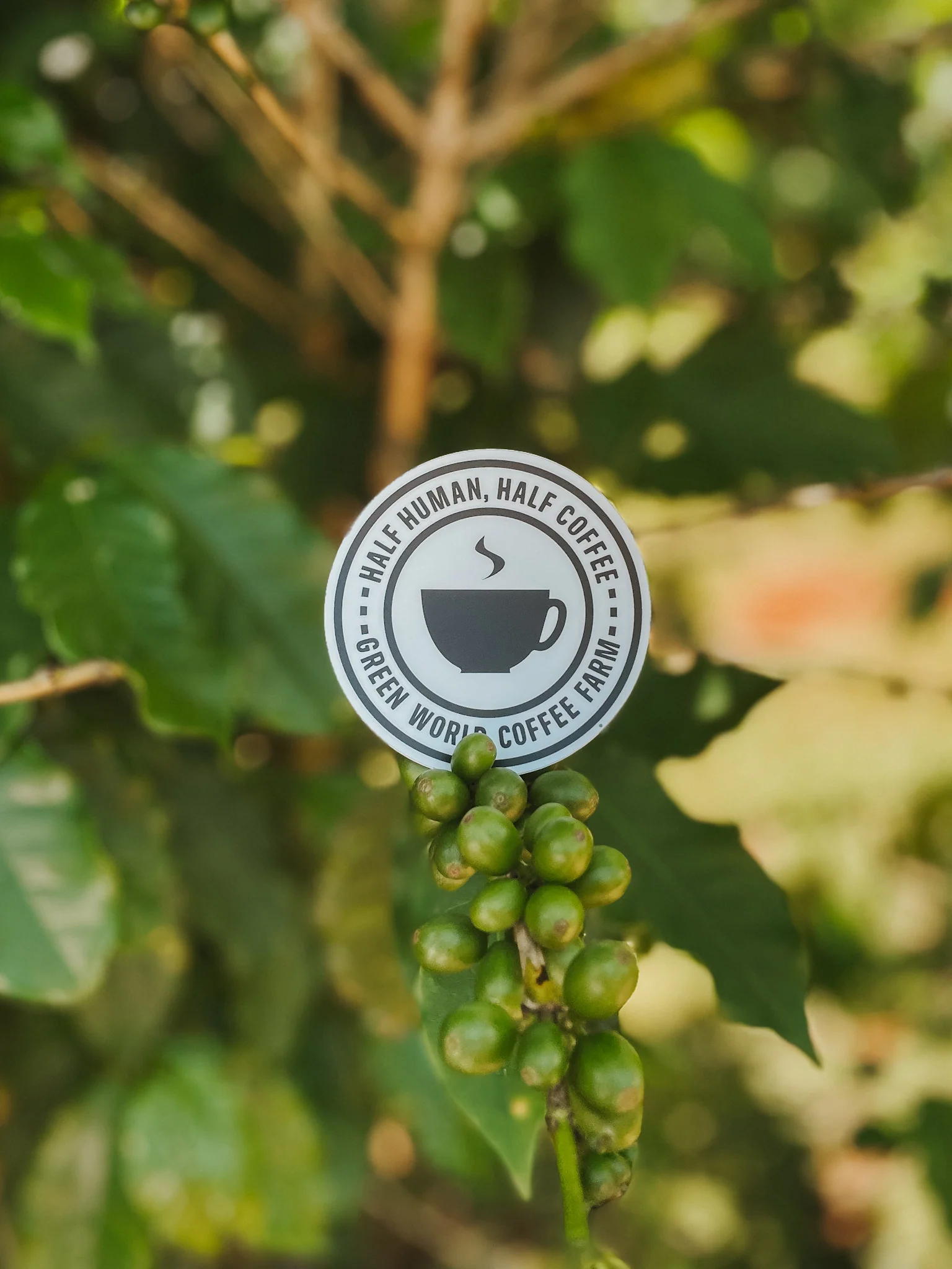 Green World Sticker Bundle (3) - Image 3