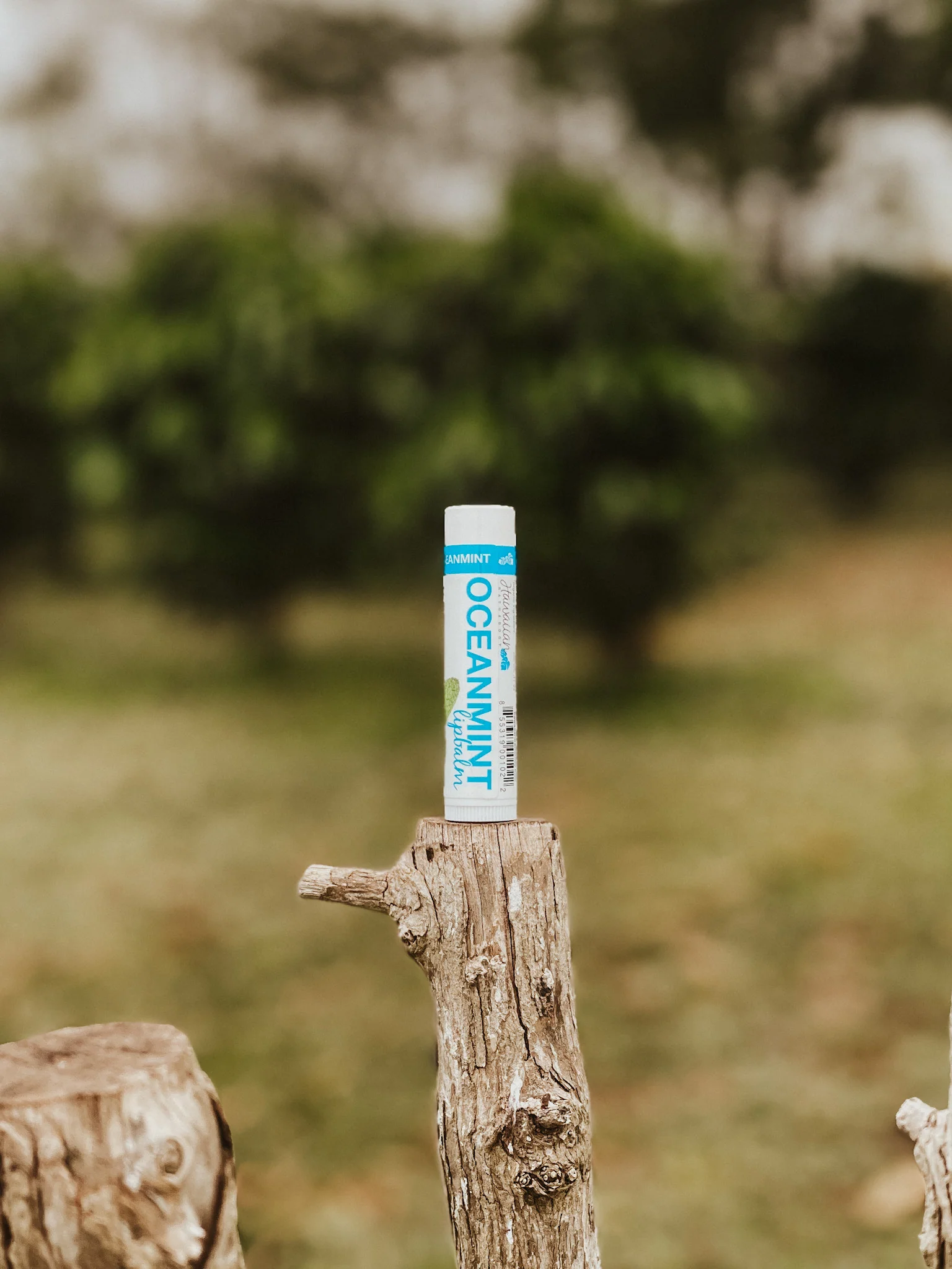 Hawaiian Bath & Body Lip Balm - Image 4