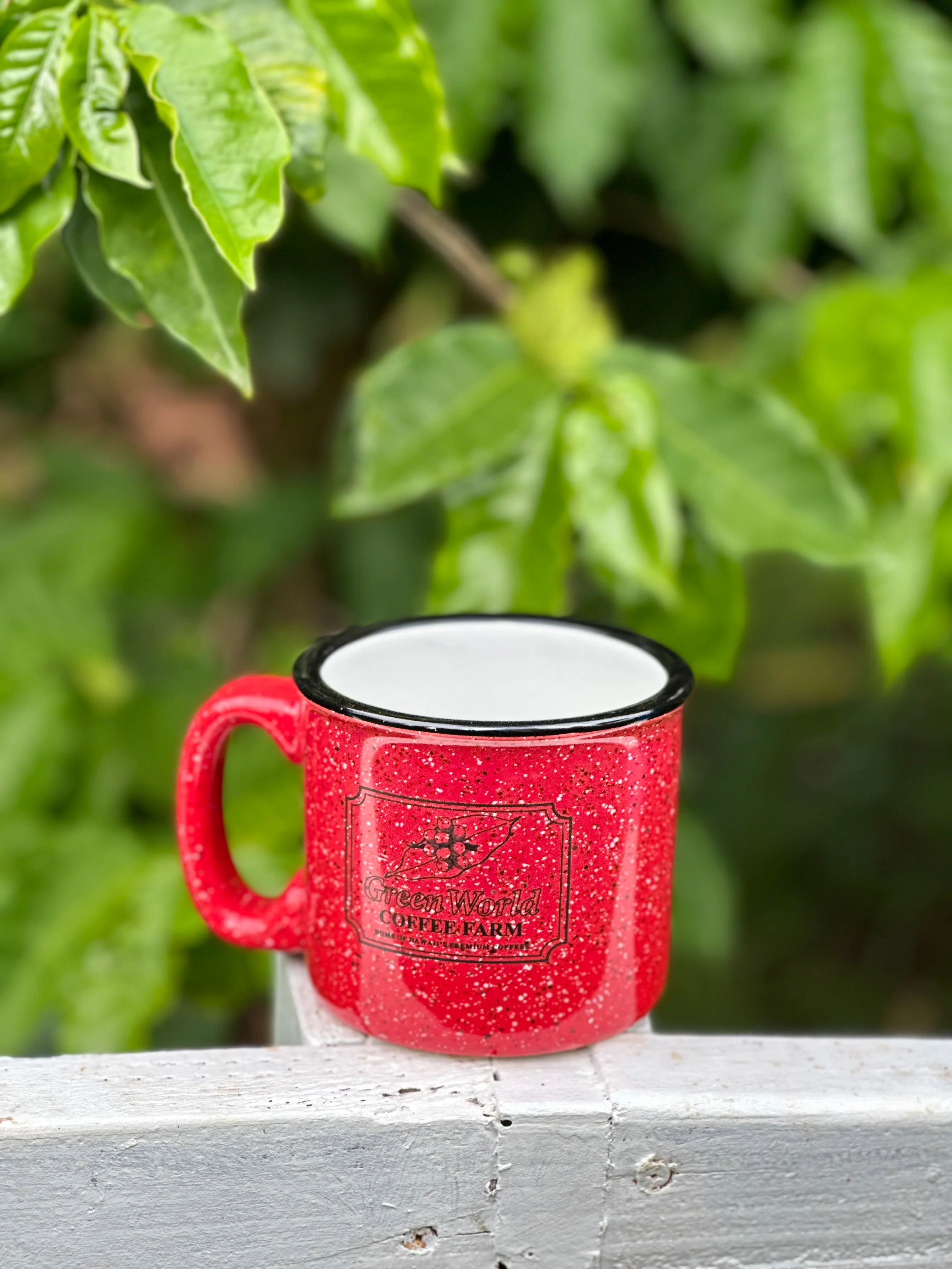Campfire Mugs - Image 3