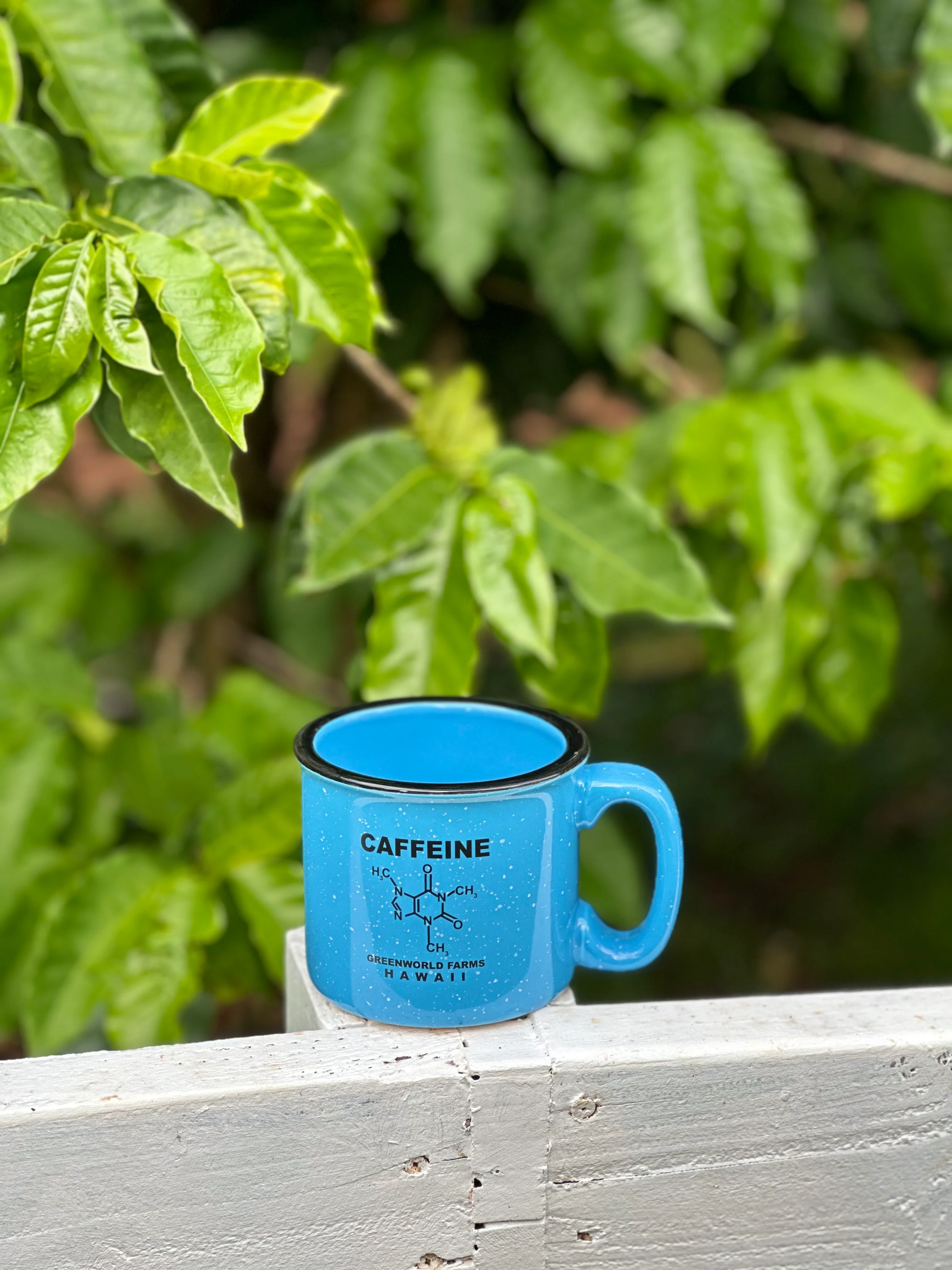 Campfire Mugs - Image 4