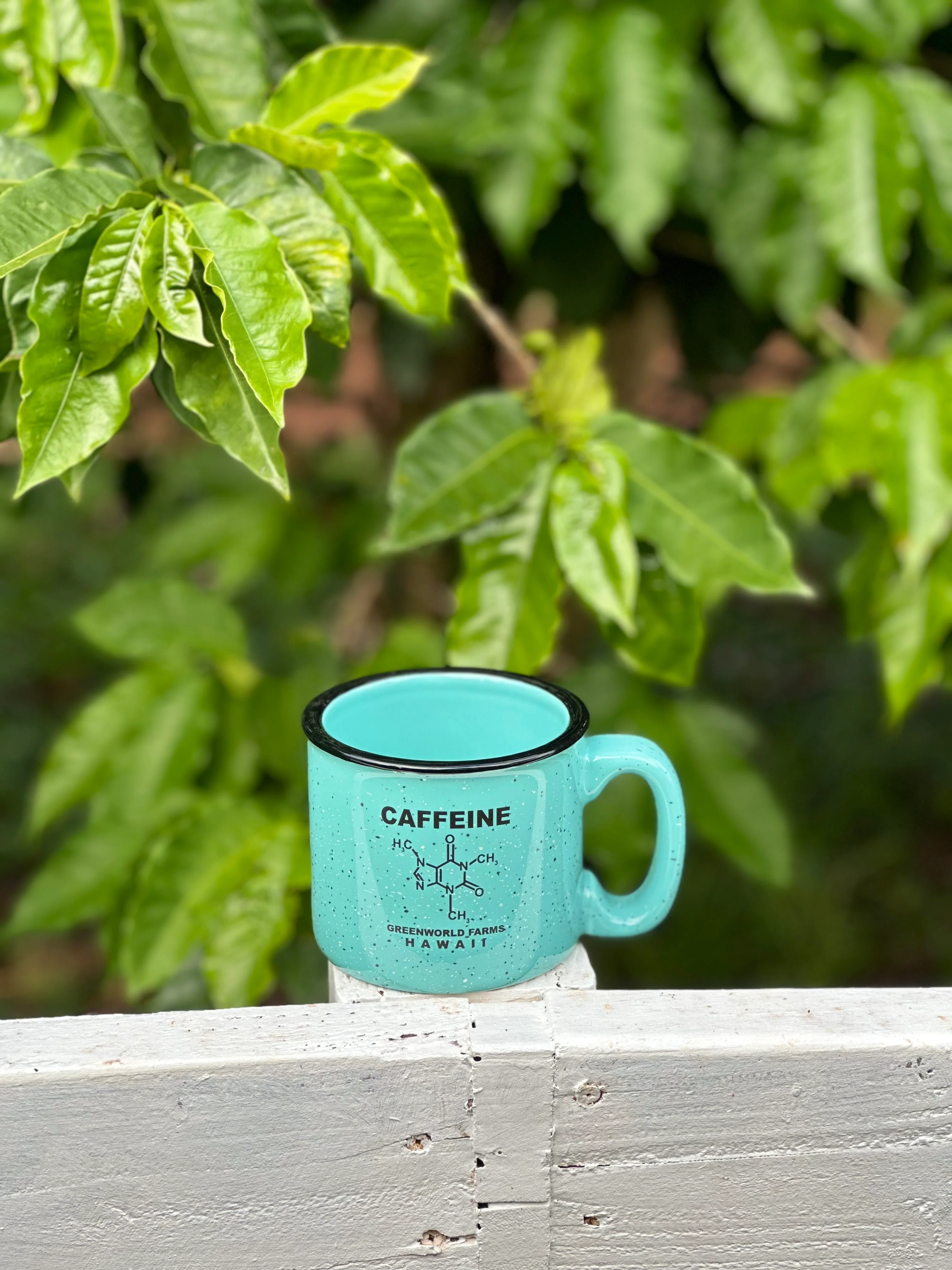Campfire Mugs - Image 5