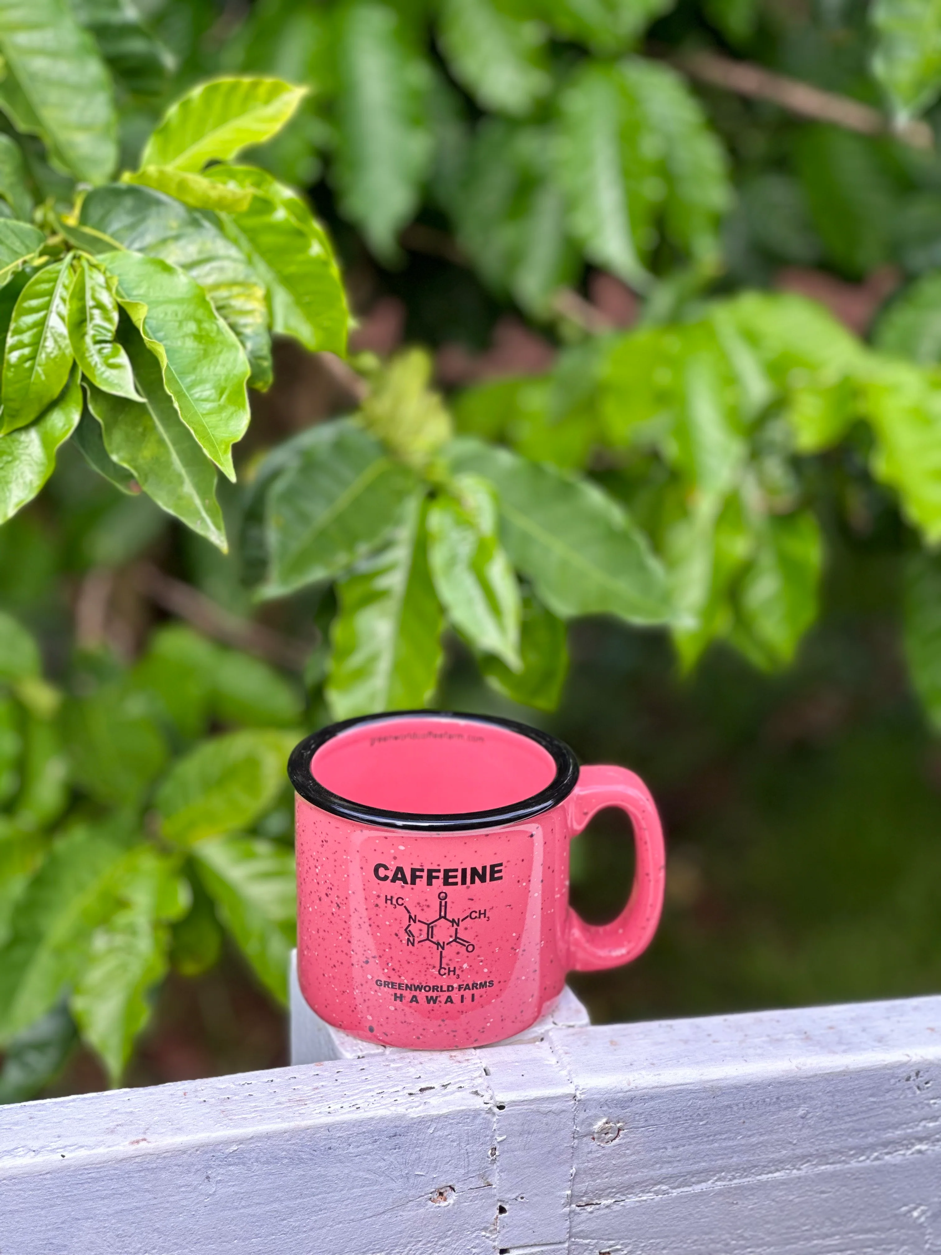 Campfire Mugs - Image 6